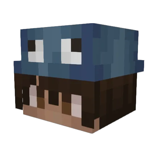 boomi8525 Minecraft avatar head, 3D render