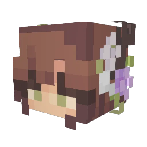 boomslankis Minecraft avatar head, 3D render