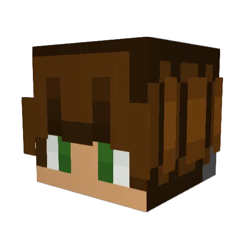 boongis_ Minecraft avatar head, 3D render