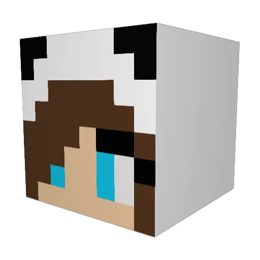 boonoslay Minecraft avatar head, 3D render