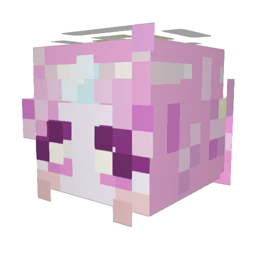 booohbah Minecraft avatar head, 3D render