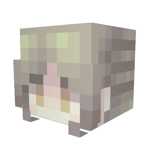 booomyyy Minecraft avatar head, 3D render