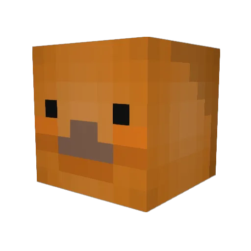 booosiest577 Minecraft avatar head, 3D render