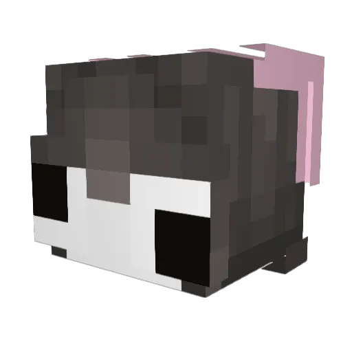 boopka_ Minecraft avatar head, 3D render