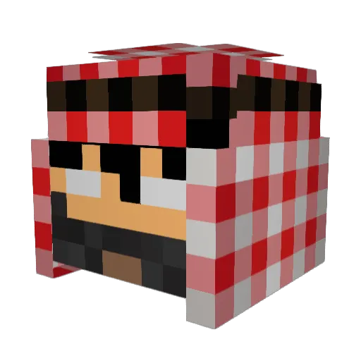 boot4e_ Minecraft avatar head, 3D render