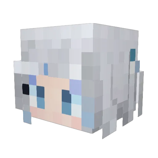 boots1207 Minecraft avatar head, 3D render