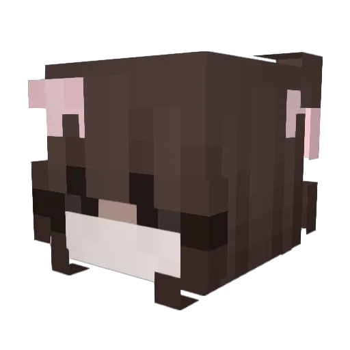 bootsity Minecraft avatar head, 3D render