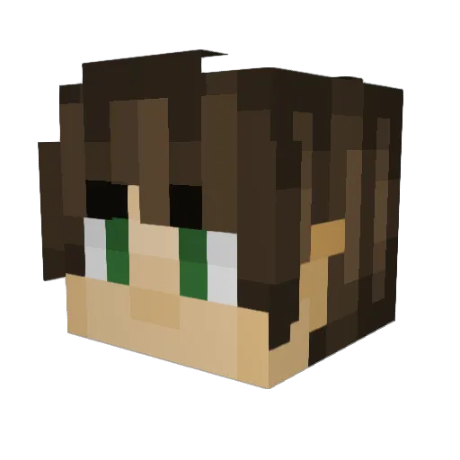bootyduty123 Minecraft avatar head, 3D render