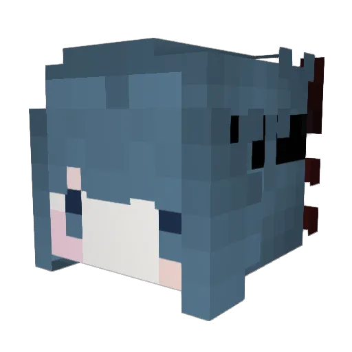 bootylicker6000 Minecraft avatar head, 3D render