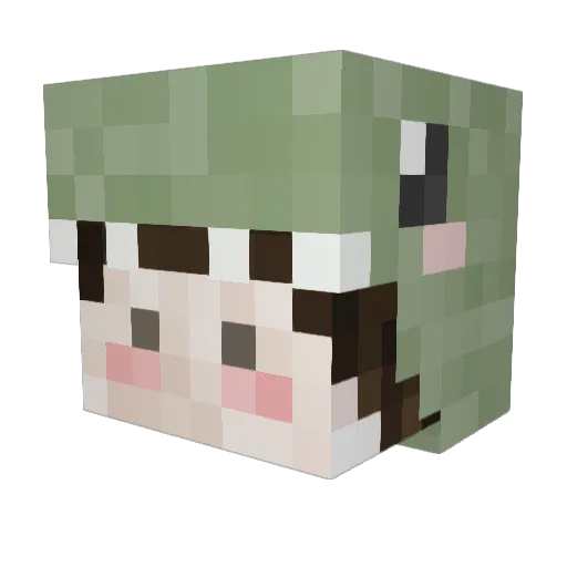 bopotte Minecraft avatar head, 3D render