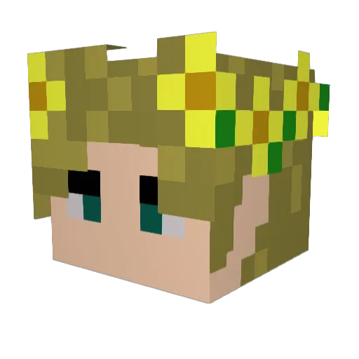 boram1812 Minecraft avatar head, 3D render