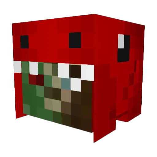 borderboy Minecraft avatar head, 3D render