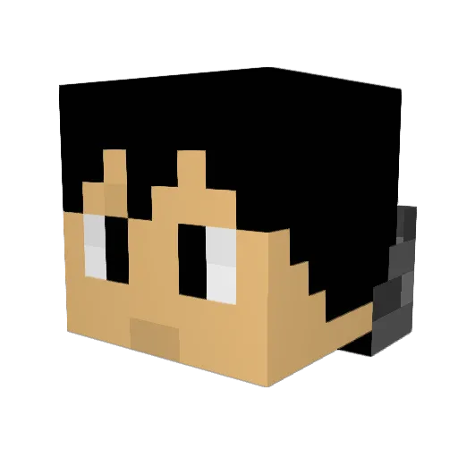 borderex Minecraft avatar head, 3D render