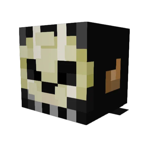 borderjumper123 Minecraft avatar head, 3D render