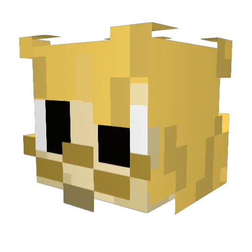 bordi_please Minecraft avatar head, 3D render