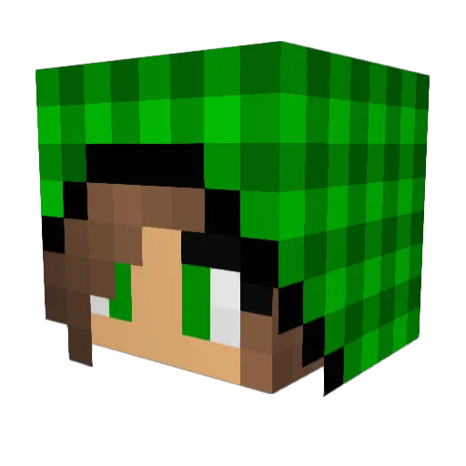 bordiurka Minecraft avatar head, 3D render