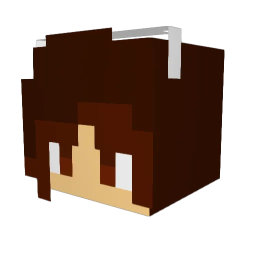 borgerore Minecraft avatar head, 3D render