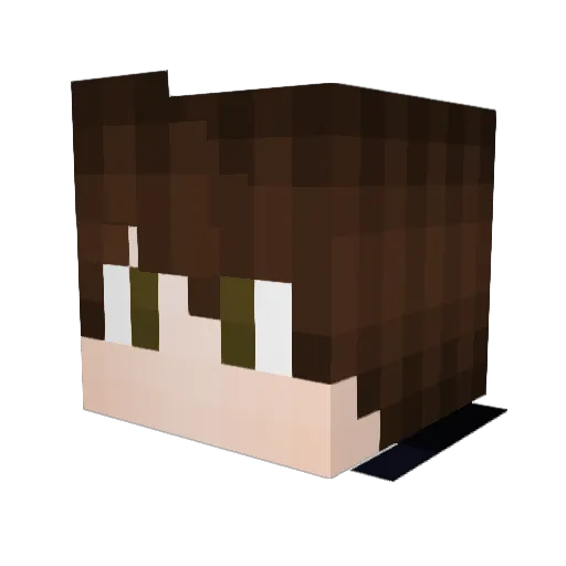 borgplays Minecraft avatar head, 3D render