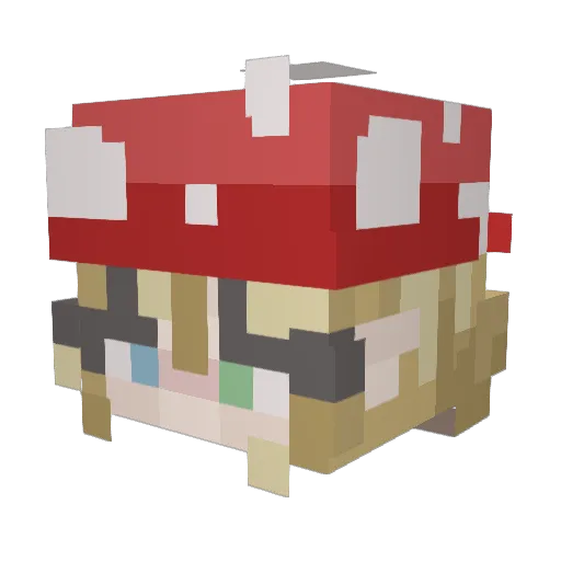 borlaith Minecraft avatar head, 3D render