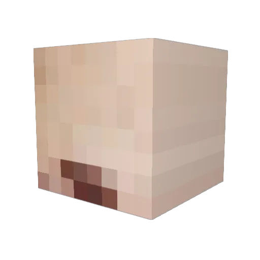 born_to_farm Minecraft avatar head, 3D render