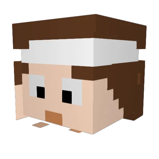 borna_kapusta Minecraft avatar head, 3D render