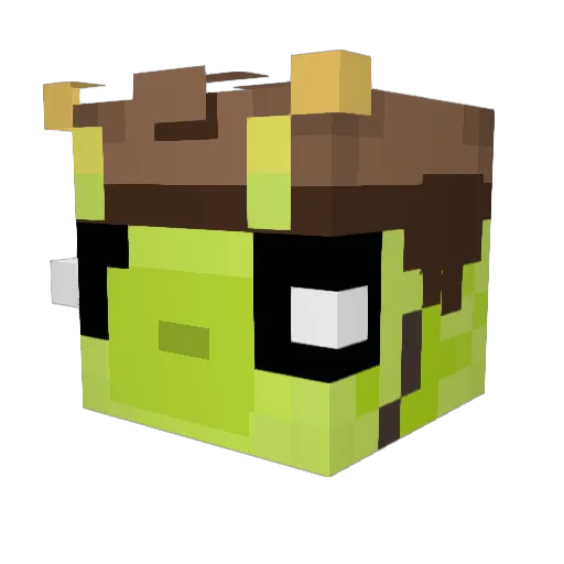 bornttoast Minecraft avatar head, 3D render