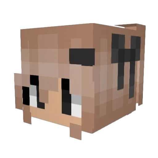 boroe Minecraft avatar head, 3D render