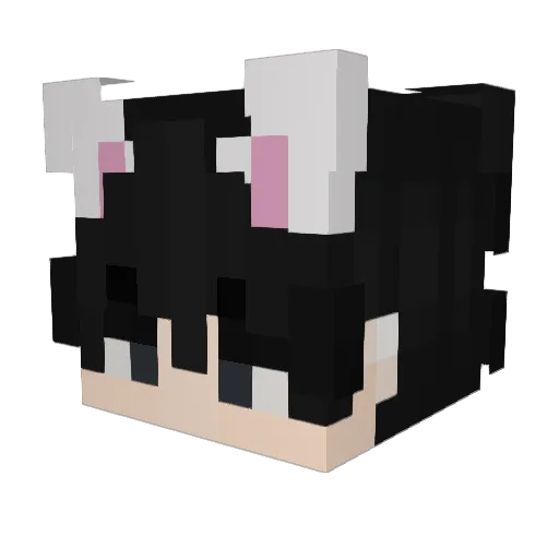 borra__ Minecraft avatar head, 3D render