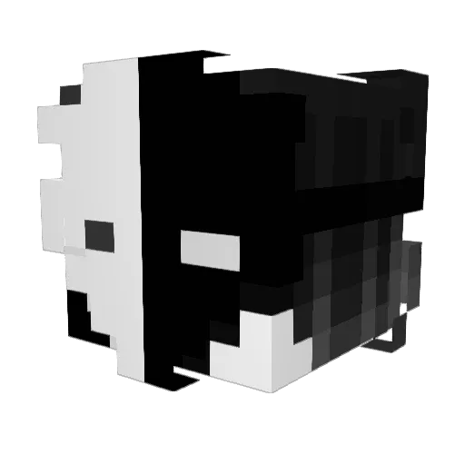 borron12 Minecraft avatar head, 3D render