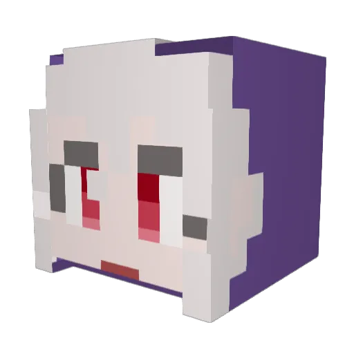 borry1010 Minecraft avatar head, 3D render