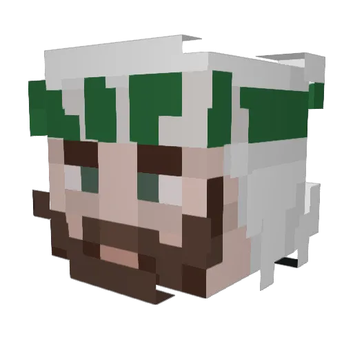 bosanaco Minecraft avatar head, 3D render