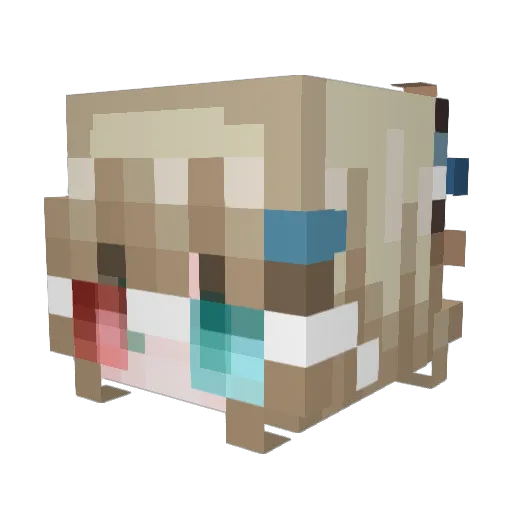 boshebah9 Minecraft avatar head, 3D render