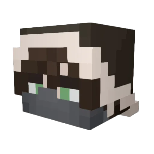 boshhhhhh Minecraft avatar head, 3D render