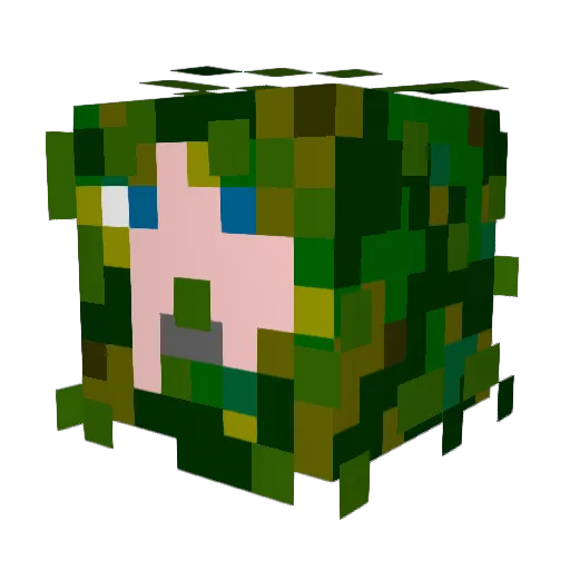 boss_awesome13 Minecraft avatar head, 3D render