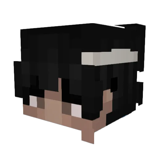 bossbro43 Minecraft avatar head, 3D render