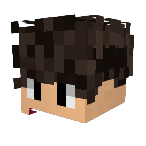 bossi29 Minecraft avatar head, 3D render
