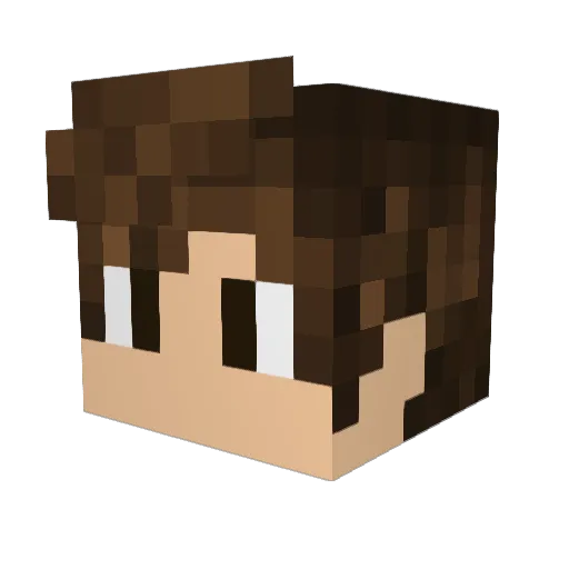 bossi5 Minecraft avatar head, 3D render