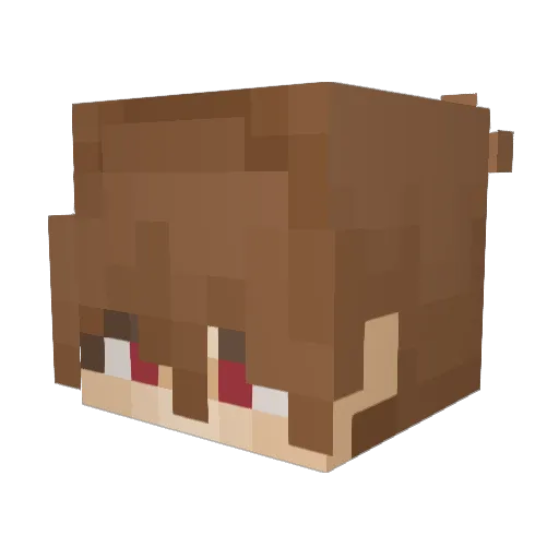 bostonthecatt Minecraft avatar head, 3D render
