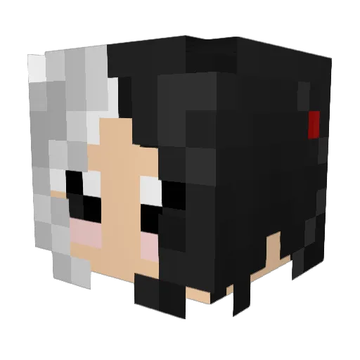 bot4s Minecraft avatar head, 3D render