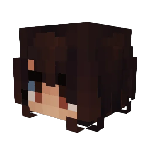 bot_sfcp Minecraft avatar head, 3D render