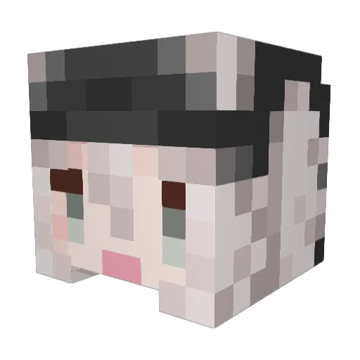 botaaan Minecraft avatar head, 3D render