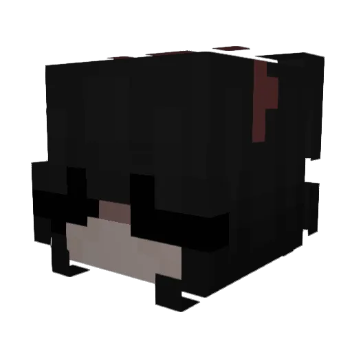 botixaa Minecraft avatar head, 3D render
