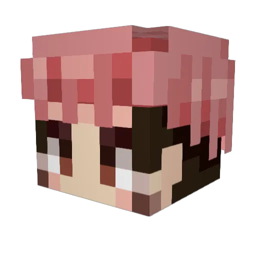 botjustin Minecraft avatar head, 3D render