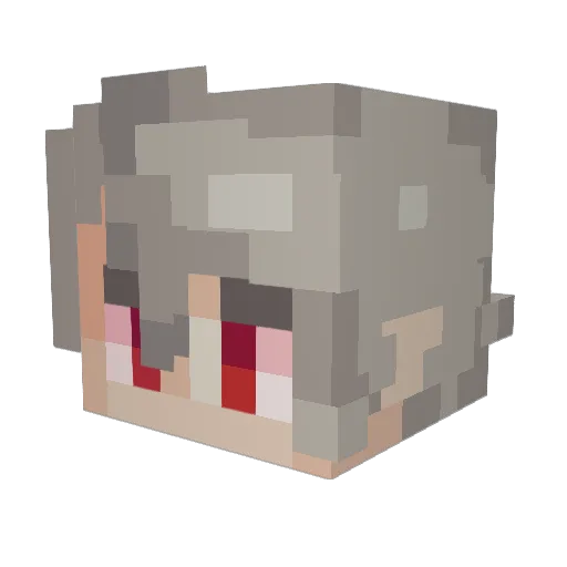 bott Minecraft avatar head, 3D render