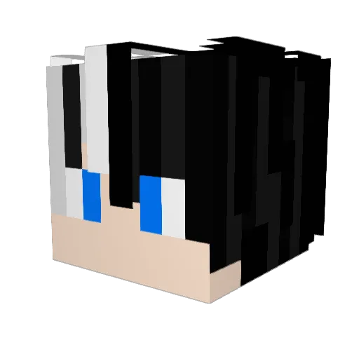 bottle36003 Minecraft avatar head, 3D render