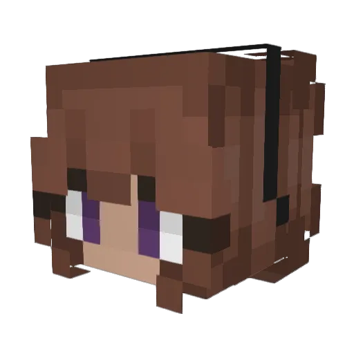 bottledarizona Minecraft avatar head, 3D render