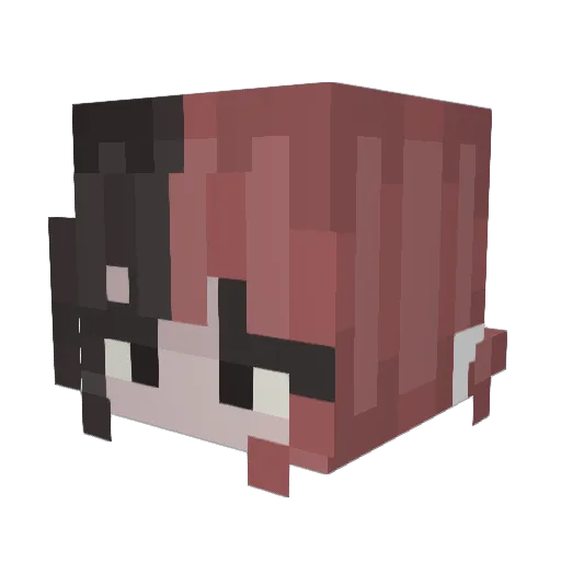 bottledbees Minecraft avatar head, 3D render