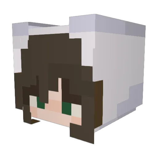 bottomsanss Minecraft avatar head, 3D render