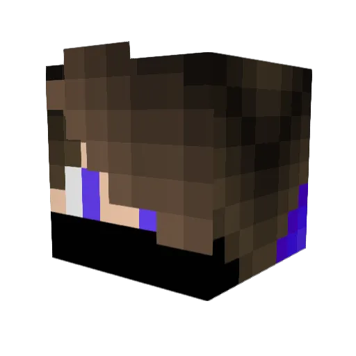 bougar44 Minecraft avatar head, 3D render