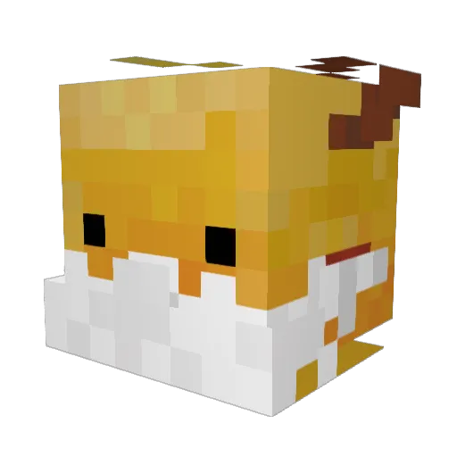 boulderseds Minecraft avatar head, 3D render